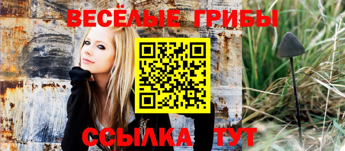 Галлюциногенные грибы ЛСД Алексин