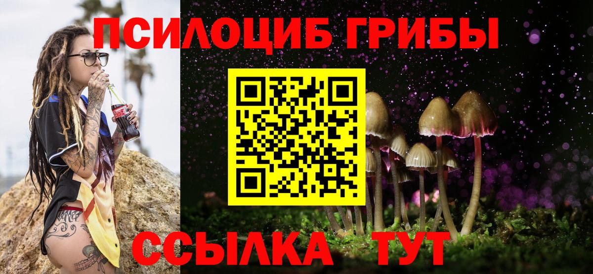 Псилоцибиновые грибы Psilocybe  Вход с VPN  Алексин 
