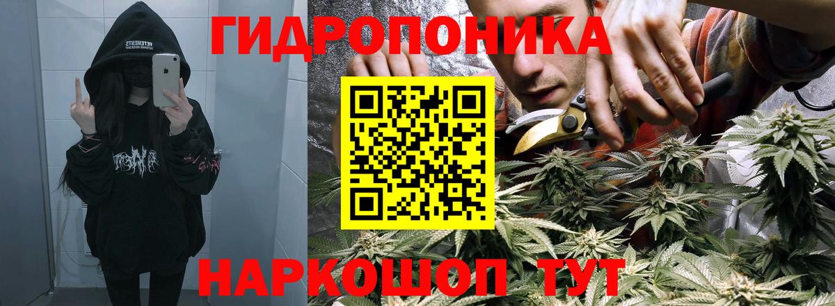 Алексин  Каннабис White Widow  МАРИХУАНА Bruce Banner  Каннабис тримм  Вход с VPN  Бошки марихуана White Widow 